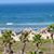 Missy Christopher Jo Moglia's profile image