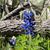 Stefanie Ruble's profile image