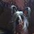 Lynne Dauber's profile image