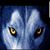 Carlos Solis's profile image