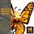MonarchUmbrella Trimm's profile image