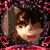 Joyce Cook's profile image