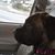 Jill Wiederhold Rittimann's profile image