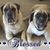 Kerin E Wortham's profile image