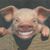 Brooks Damphouse's profile image