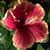 Lynn Grandle's profile image