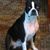 Marilyn Moffat's profile image