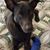 Jennifer Sharik's profile image