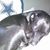 Frank Dibiasi's profile image