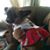 Barb Wallen's profile image