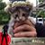 Alice Harrigan's profile image