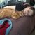 Kathleen M Lane's profile image