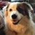 Angie Westervelt's profile image