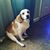 Victoria Lynn Dowd Barringer's profile image