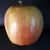Donna Bristow's profile image