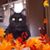 Paula J Powers's profile image