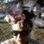 Leticia Garay-Simmons's profile image