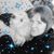 Shannon Michelle's profile image