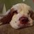 Diane Kinney's profile image