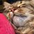 Lisa Assel Nazario's profile image