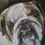 Wendy West Conway's profile image