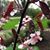 Kelli Ellison Gorski's profile image