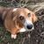 Ed Byrnes's profile image