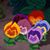 Sandi Key's profile image