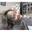 Denise Queen's profile image