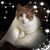 Dottie Hanna's profile image