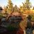Star Landscaping's profile image