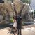 Viviana Lopez's profile image