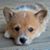 Christina Tuell's profile image