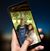 Tina Chansler Duncan's profile image
