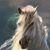 Erika Forstrom's profile image
