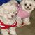 Kathryn Barrett Kempter's profile image