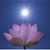 स्वामी पूजानन्द सरस्वती's profile image