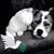 Denise Acree's profile image
