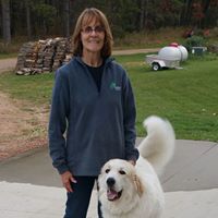 Sandra Pruno Zahn's profile image