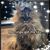Maria Catton's profile image
