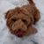 Dave Lafferty's profile image
