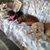 Jo Ann Howard's profile image