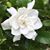 Karen Clark's profile image