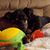 Patti Fisher- White's profile image