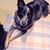 Beanz Jamie Zon Richardson's profile image