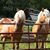 Kathy DeWeese's profile image