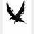 Todd Boelter's profile image