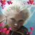 Pamela D. Shelman's profile image