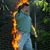 Richard A. Fike Sr.'s profile image