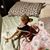 Sarah Ashburn's profile image